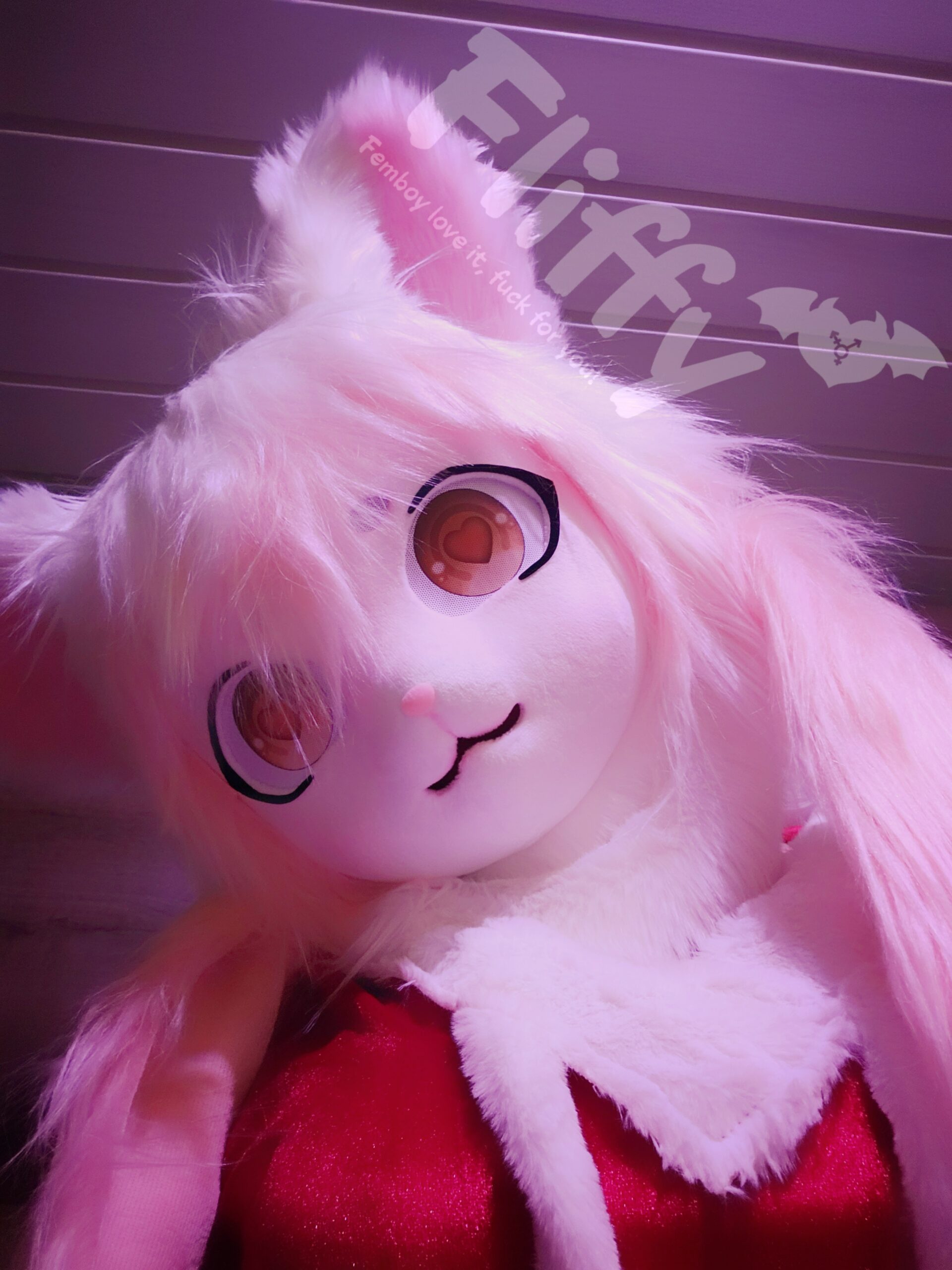 Fliffy im süßen Furry-Style mit pinkem Weihnachtsoutfit – Über mich – Fliffy